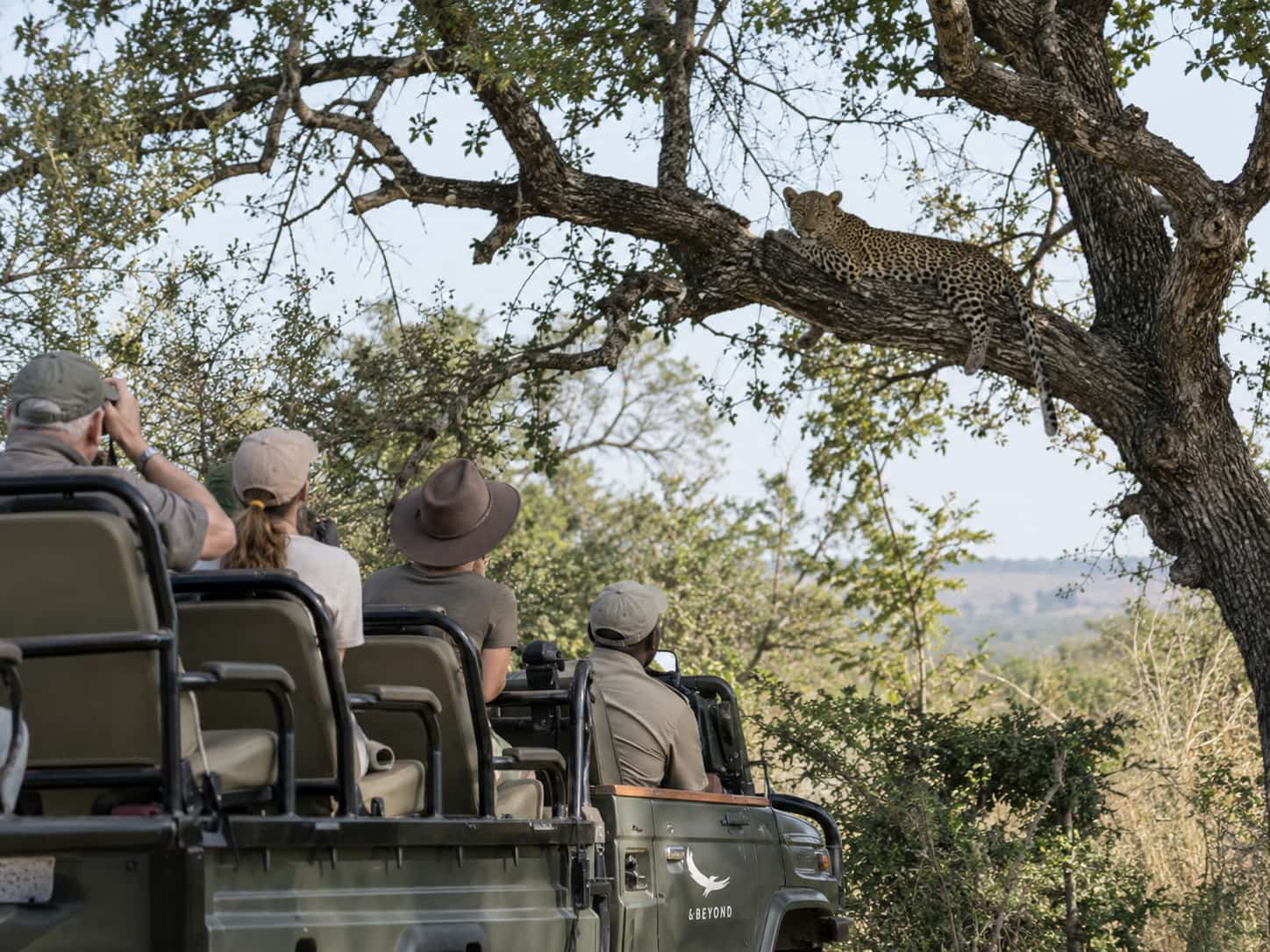 Kruger National Park Safari from Hazyview